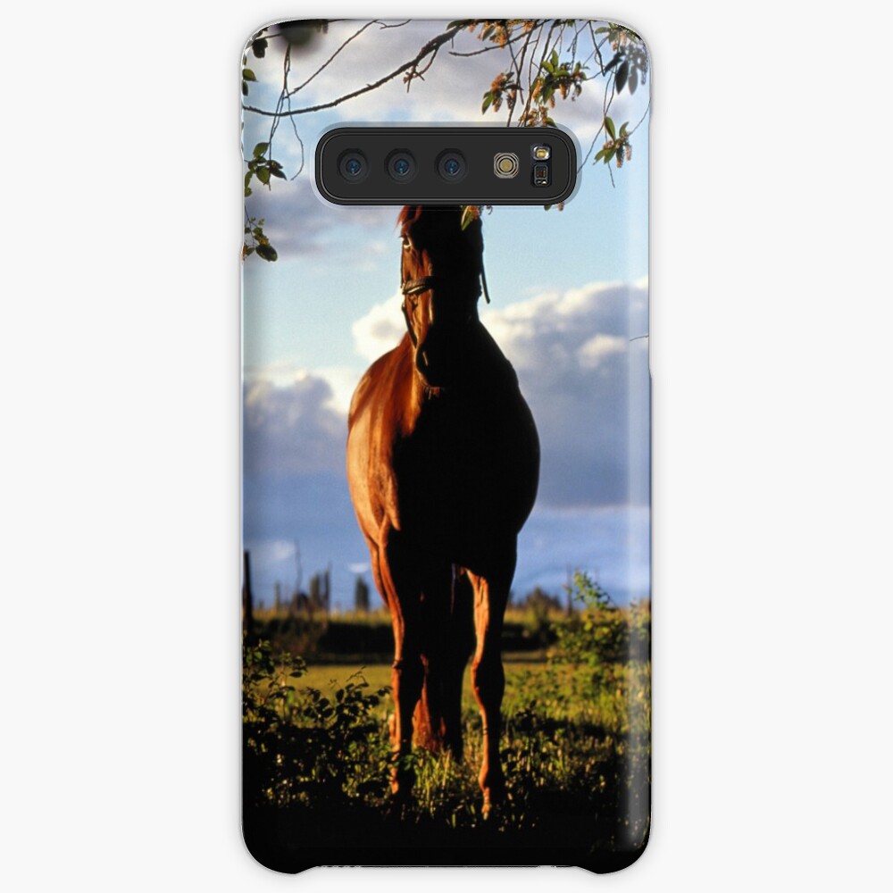 Equine, Evergreen Montana Case & Skin for Samsung Galaxy