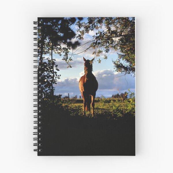 Item preview, Equine, Evergreen Montana designed and sold by Rodney Johnson.