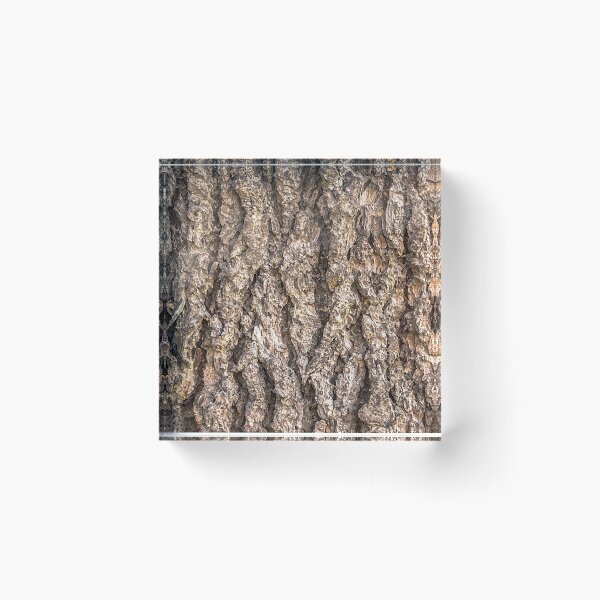Item preview, rustic tree bark designed and sold by thomasjgaulton.