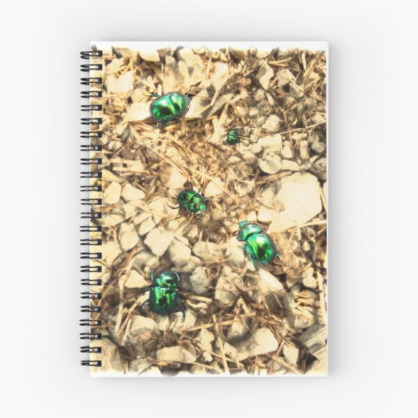 Item preview, Bugs designed and sold by Sunil Bhardwaj.