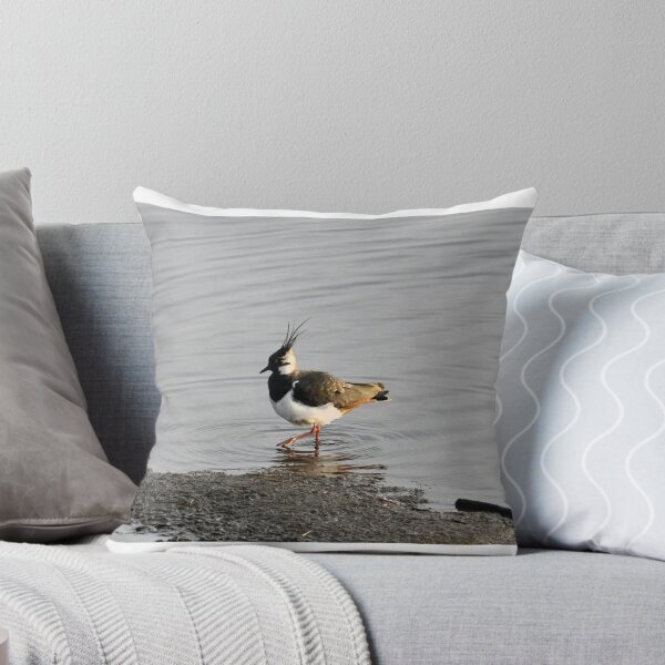 Item preview, Lapwing (Vanellus vanellus) - Woolston Eyes designed and sold by Chris Monks.