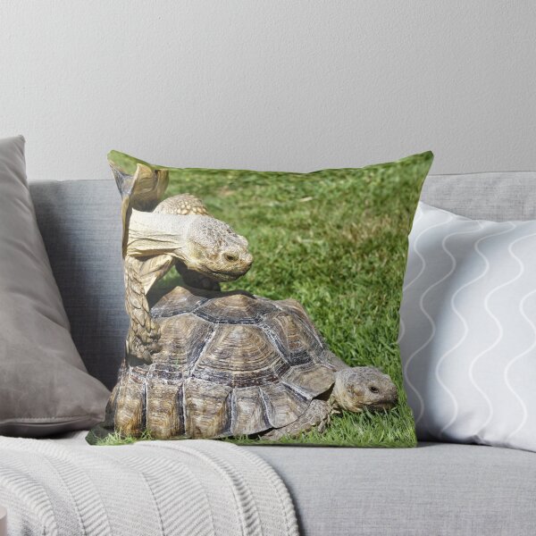 Item preview, African spurred tortoise (Centrochelys sulcata) designed and sold by Andy Harker.