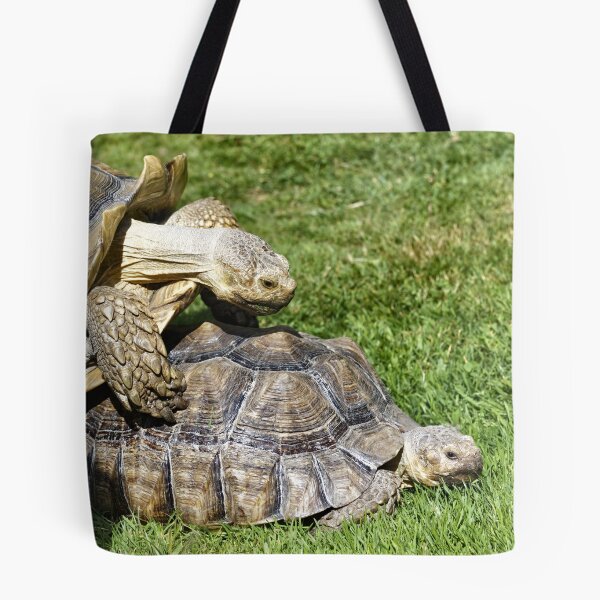 Item preview, African spurred tortoise (Centrochelys sulcata) designed and sold by Andy Harker.