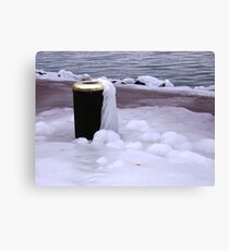 Frozen Bin Canvas Print