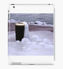 Frozen Bin iPad Case/Skin