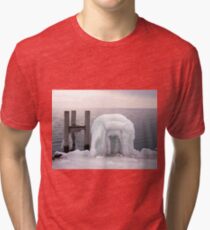 Frozen Tri-blend T-Shirt