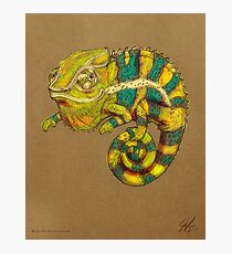 Panther Chameleon Photographic Print
