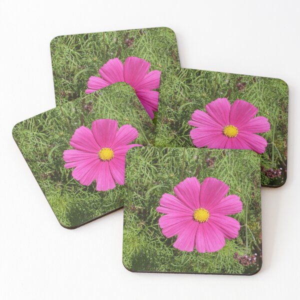 Item preview, Pink Cosmos flower designed and sold by pinkal.