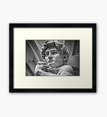 David Framed Print