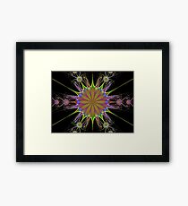 Seedheads Framed Print