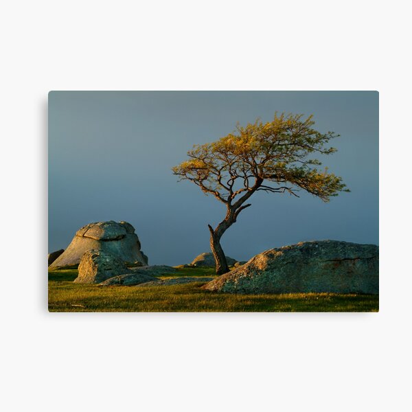 Dog Rocks, Batesford Victoria Canvas Print