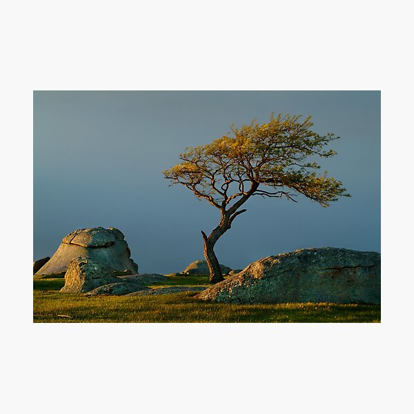 Dog Rocks, Batesford Victoria Photographic Print