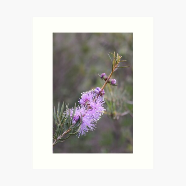 Item preview, Spring Wildflowers designed and sold by Stephen Horton.