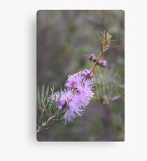 Spring Wildflowers Canvas Print