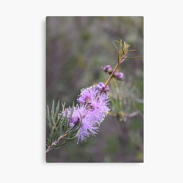 Item preview, Spring Wildflowers designed and sold by Stephen Horton.