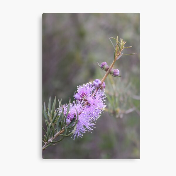 Item preview, Spring Wildflowers designed and sold by Stephen Horton.