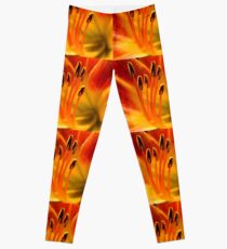 Queen for a Day ^ Leggings