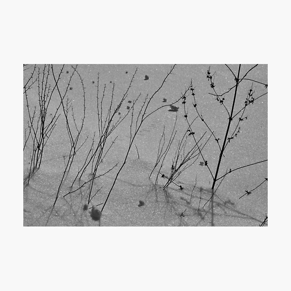 Item preview, weeds in the snow designed and sold by 1busymom.