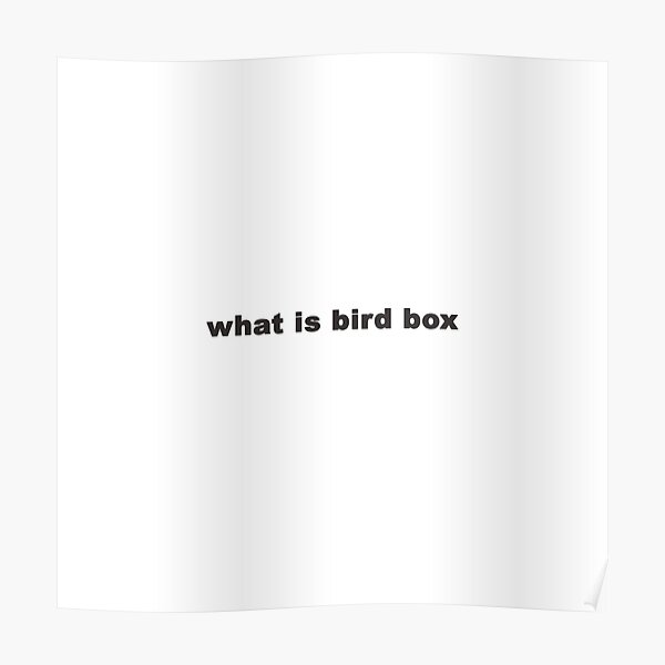 what-is-bird-box-poster-by-femstuff-redbubble