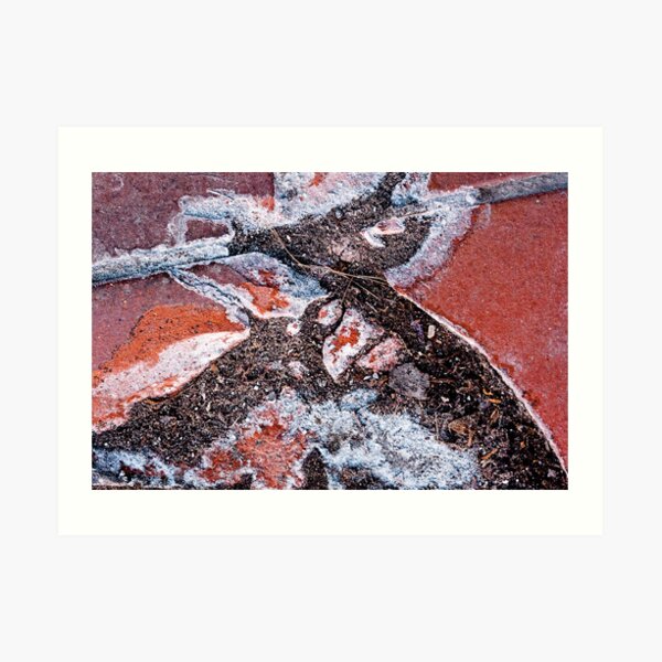 Archeological Art Print