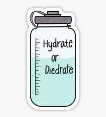 Hydrate or Dydrate Sticker