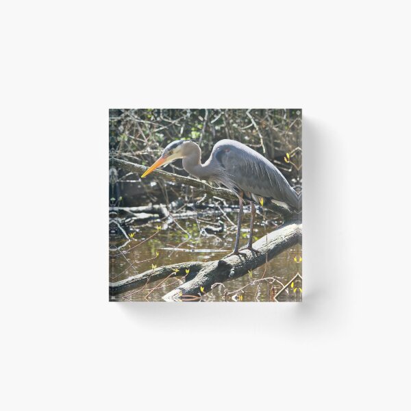 Item preview, Great Blue Heron... designed and sold by RichImage.