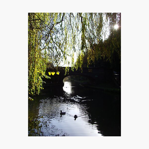 Beneath the Willow ~ Grand Union Canal, Hertfordshire 2009 Photographic Print