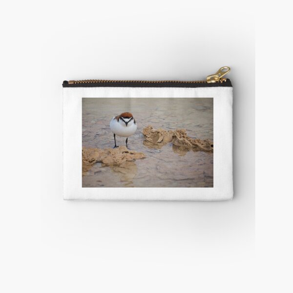 Item preview, Red Capped Plover  designed and sold by D-GaP.