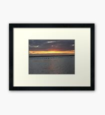 Black Swans on Lake Connewarre Framed Print