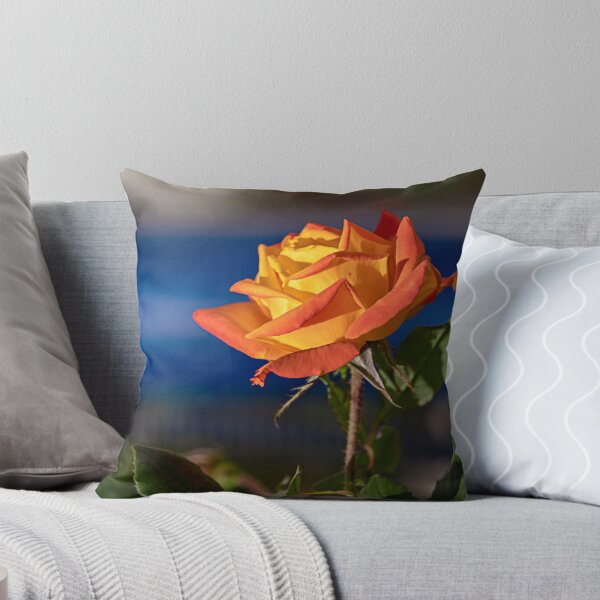 Item preview, Yellow-orange rose flower head close up on blurred background designed and sold by EG Creativity Art.