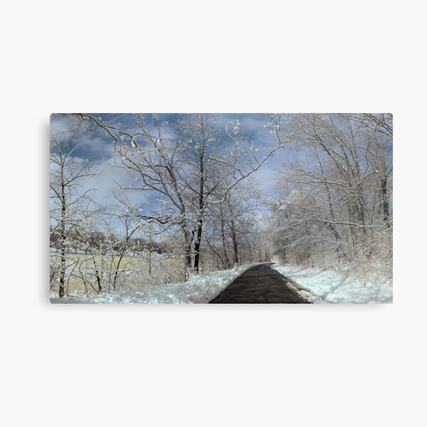 The long winter road along the Scioto Metal Print