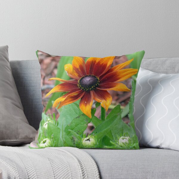 Item preview, Autumn Colors Black Eyed Susan designed and sold by Frankie Cat Photography.