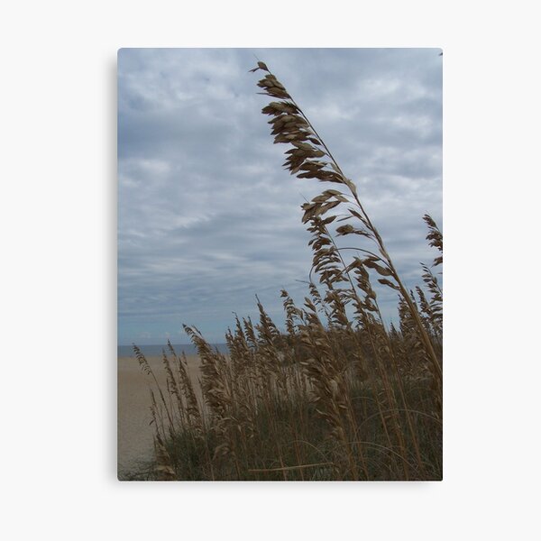 On The Beach Canvas Print