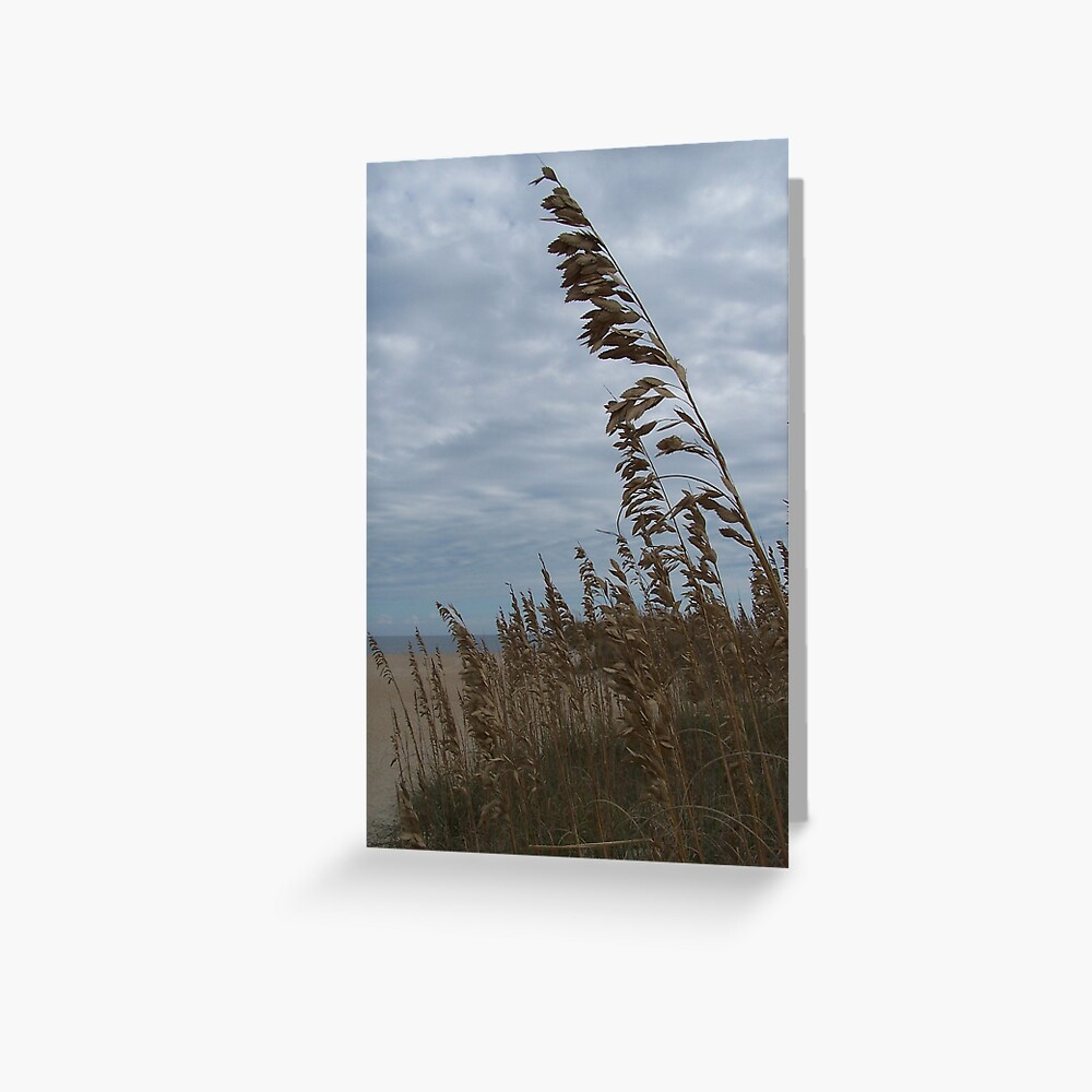 Item preview, Greeting Card designed and sold by DianaTaylor.