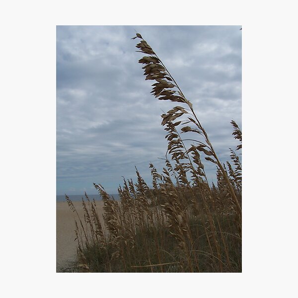 On The Beach Photographic Print