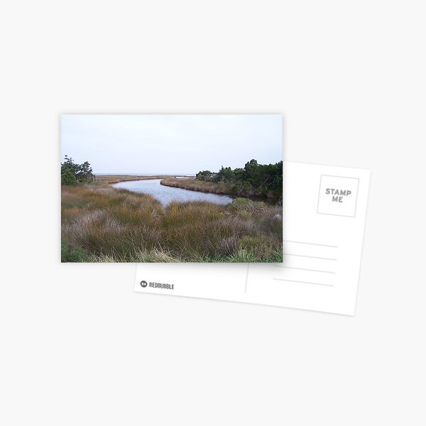 Ocracoke Island Postcard