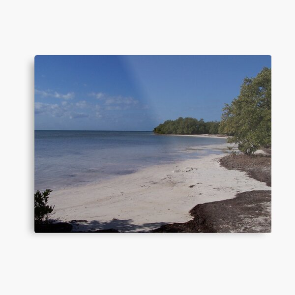 Metal Print