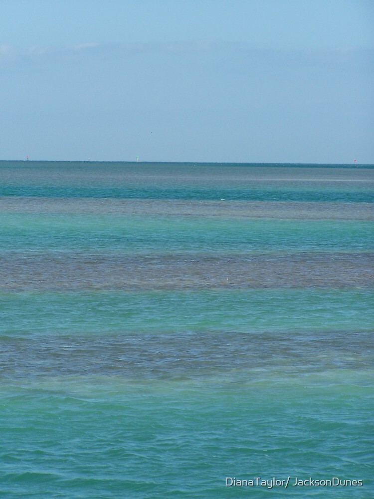 Thumbnail 3 of 3, Canvas Print, Blue In The Florida Keys designed and sold by DianaTaylor/ JacksonDunes.