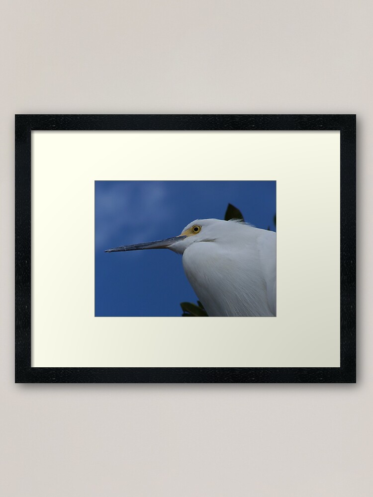 Alternate view of Tropical Bird Framed Art Print