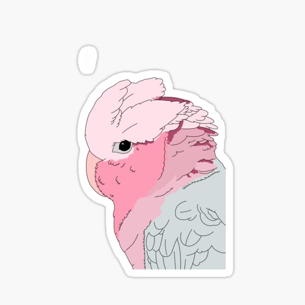 Artikel-Vorschau von Galah-Kakadu, designt und verkauft von Birb Queen.