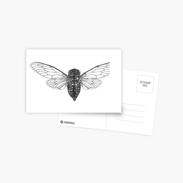 Cicada PostcardsSet of 124x6 