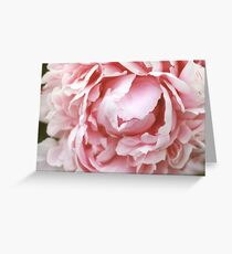 Tarjeta de felicitación Peonía rosa