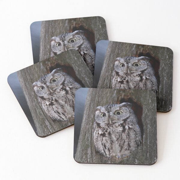 Item preview, Eastern Screech-Owl designed and sold by James Cumming.