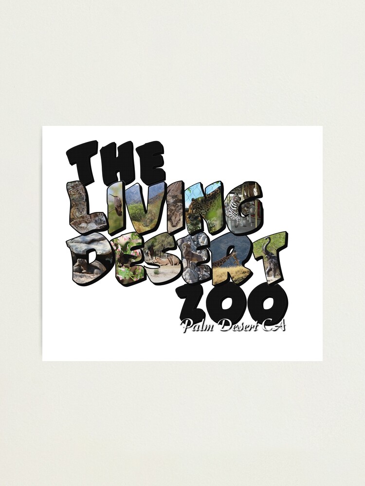 Alternate view of The Living Desert Zoo Big Letter Photographic Print