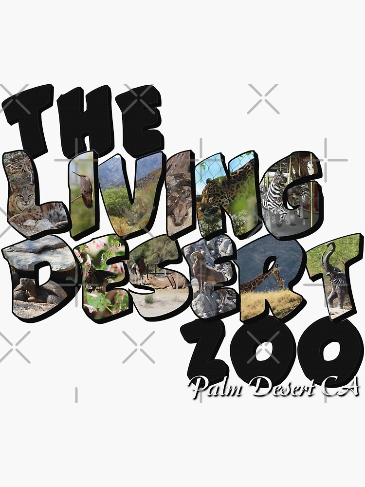 The Living Desert Zoo Big Letter by ButterflysAttic