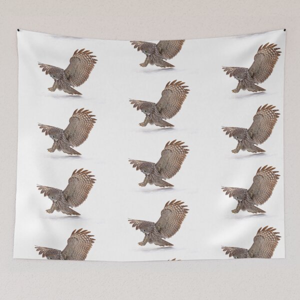 Item preview, Once a pounce a time - Great Grey Owl designed and sold by James Cumming.