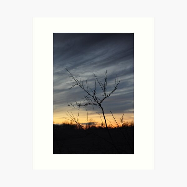 Item preview, Bare branches against a winter sunset designed and sold by mltrue.