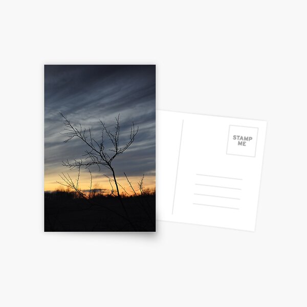 Item preview, Bare branches against a winter sunset designed and sold by mltrue.