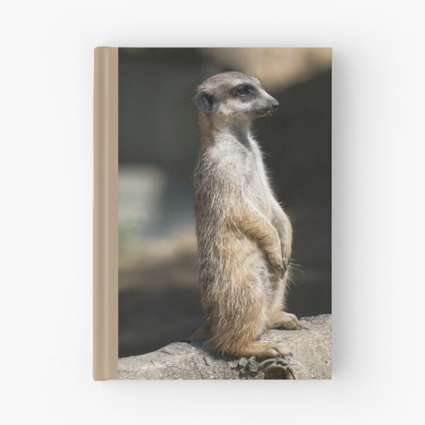 Item preview, Meerkat designed and sold by Vac1.
