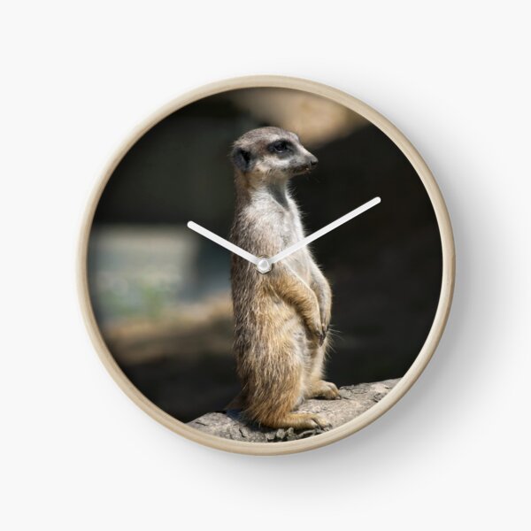 Item preview, Meerkat designed and sold by Vac1.